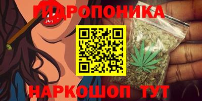 твердый Коммунар