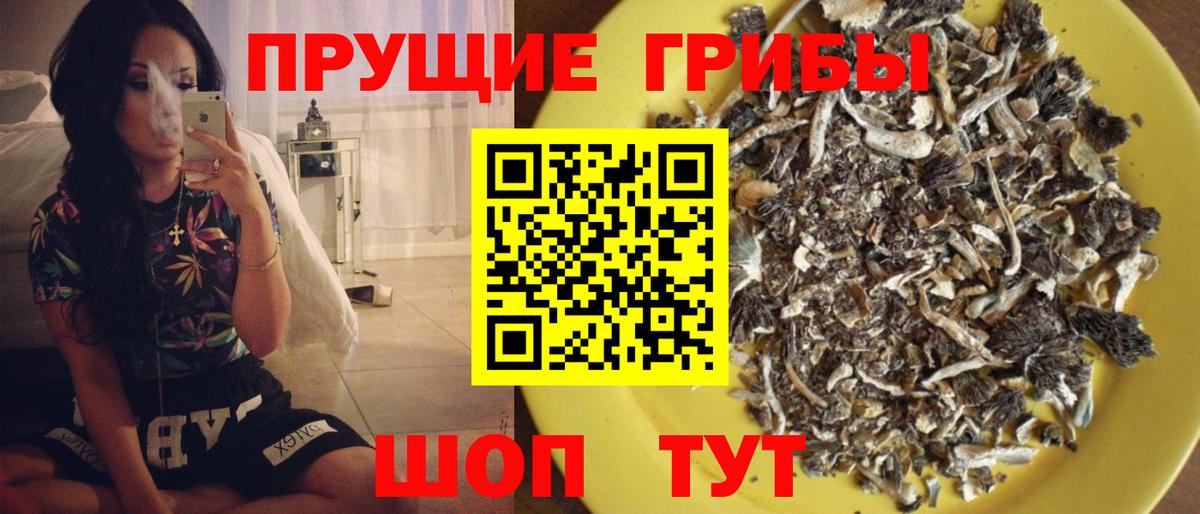 Каспийск  Галлюциногенные грибы ЛСД  Галлюциногенные грибы Psilocybe  наркошоп  Вход с VPN 