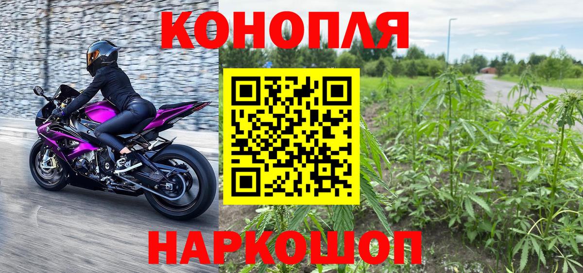 Бошки марихуана марихуана  Вход с VPN  Канабис сатива  Каспийск 